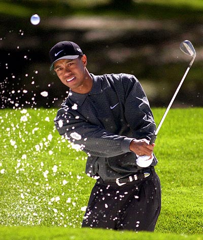 tiger.jpg